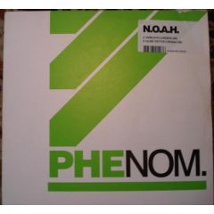Noah - Noah - Variegated - Phenom