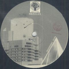 Passarani 2099 - Passarani 2099 - It Will Be What It Is - Nature Records