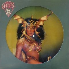 Cher - Cher - Take Me Home (Picture Disc) - Casablanca