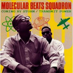Molecular Beats Squadron - Molecular Beats Squadron - Coming By Storm - Raw Records