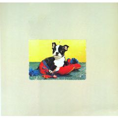 Sensuround - Sensuround - Blind Faith / Pretty Face - Icerink