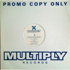 Carol Bailey - Carol Bailey - Feel It - Multiply Records