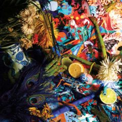 Animal Collective - Animal Collective - Summertime Clothes - Domino Records