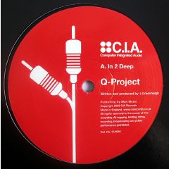 Q Project - Q Project - In 2 Deep - CIA