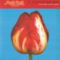 DJ Antoine Vs Mad Mark - DJ Antoine Vs Mad Mark - Now That Your'Re Gone - Fresh Fruit