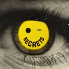 DJ Vinylgroover Ft Lisa - DJ Vinylgroover Ft Lisa - Secrets - Alpha Projects