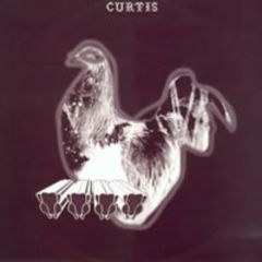 Curtis - Curtis - Velcro - Platinum