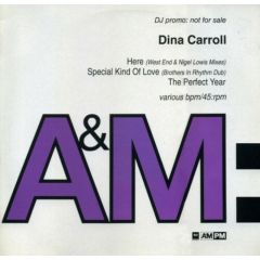 Dina Carroll - Here / Special Kind Of Love - Am:Pm