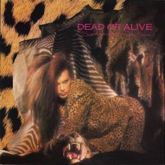 Dead Or Alive - Dead Or Alive - Sophisticated Boom Boom - Epic