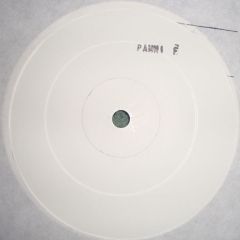 Pamela Fernandez - Pamela Fernandez - Untitled - Not On Label