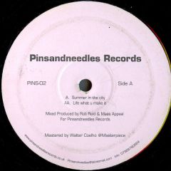 Pinsandneedles Records - Pinsandneedles Records - Summer In The City - Pinsandneedles Records 2