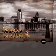 Skream - Skream - Burning Up - Digital Soundboy