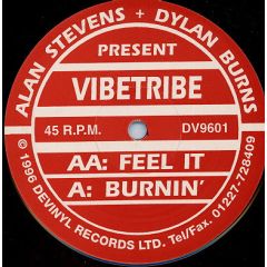 Alan Stevens & Dylan Burns Pres Vibetribe - Alan Stevens & Dylan Burns Pres Vibetribe - Feel It - Devinyl