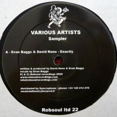 Various - Various - Various Artists Sampler - Robsoul Recordings