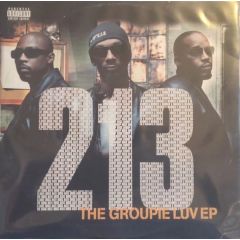 213 - 213 - The Groupie Luv EP - TVT