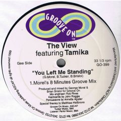 The View Featuring Tamika - The View Featuring Tamika - You Left Me Standing - Groove On