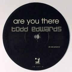 Todd Edwards - Todd Edwards - Are You There - I! Records