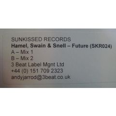 Hamel Swain & Snell - Hamel Swain & Snell - Future - Sunkissed