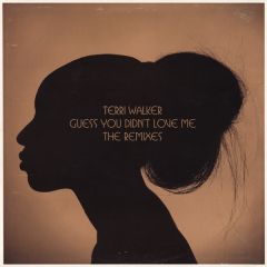 Terri Walker Ft Mos Def - Terri Walker Ft Mos Def - Guess You Didn't Love Me - Def Soul