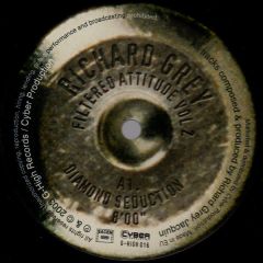 Richard Grey - Richard Grey - Filtered Attitude Volume 2 - G High Records