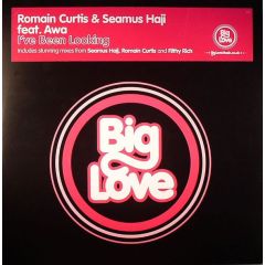 Romain Curtis & Seamus Haji Feat. Awa - Romain Curtis & Seamus Haji Feat. Awa - I'Ve Been Looking - Big Love
