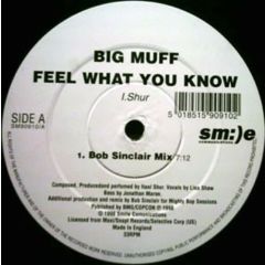 Big Muff - Big Muff - Feel What You What - Smile