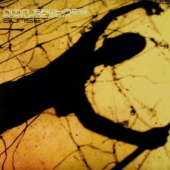 Nitin Sawhney - Nitin Sawhney - Sunset (Remixes) - V2