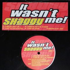 Shaggy - Shaggy - It Wasn't Me! - MCA