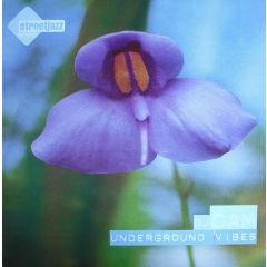DJ Cam - DJ Cam - Underground Vibes - Street Jazz Records