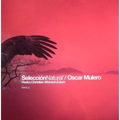 Oscar Mulero - Oscar Mulero - Selección Natural Parte 4 - Warm Up Recordings
