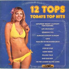 Unknown Artist - Unknown Artist - 12 Tops - Todays Top Hits - Stereo Gold Award