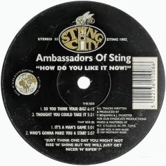 Ambassadors Of Sting - Ambassadors Of Sting - How Do You Like It Now? - Sting City