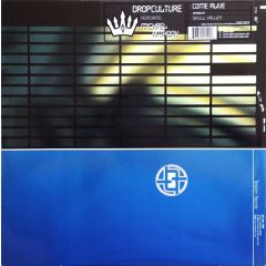 Drop Culture - Drop Culture - Come Alive - Terraform Records