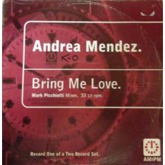 Andrea Mendez - Andrea Mendez - Bring Me Love (Remixes) - Am:Pm