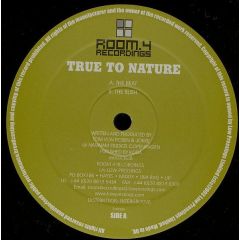 True To Nature - True To Nature - The Beat - Room 4 Recordings