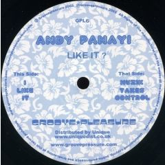 Andy Panayi - Andy Panayi - I Like It ? / Muzik Takes Control - Groove Pleasure