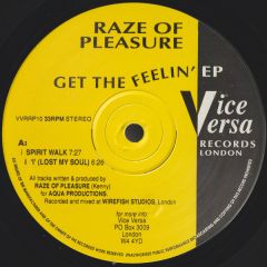 Raze Of Pleasure - Raze Of Pleasure - Get The Feelin' EP - Vice Versa