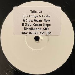 Cridge & Tasha - Cridge & Tasha - Gwan Now - Tribe