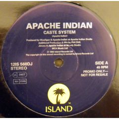 Apache Indian - Apache Indian - Caste Sytem / Warning - Island Records