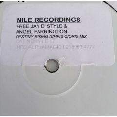 Free Jay & Angel Farringdon - Free Jay & Angel Farringdon - Destiny Rising - Nile Records