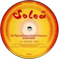 DJ Pippi Pres. Pasion Flamenca - DJ Pippi Pres. Pasion Flamenca - Fatal Fatal - Solea 1
