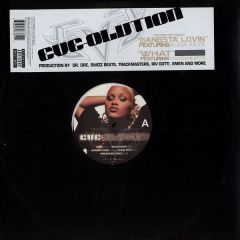 Eve - Eve - Eve-Olution - Interscope Records
