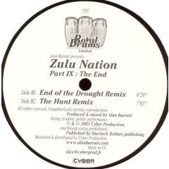 Alan Barratt - Alan Barratt - Zulu Nation Part Ix - Royal Drums
