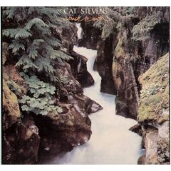 Cat Stevens - Cat Stevens - Back To Earth - Island