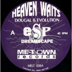 Dougal & Evolution - Dougal & Evolution - Heaven Waits / Virtual Reality - Meltdown Records