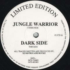 DJ Distroi & Boykz - DJ Distroi & Boykz - Jungle Warrior - Flyte 1