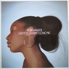 Terri Walker - Terri Walker - Terri Walker - Def Soul