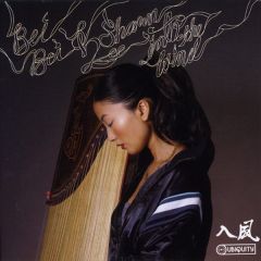 Shawn Lee & Bei Bei - Shawn Lee & Bei Bei - Into The Wind - Ubiquity
