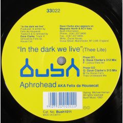 Aphrohead - Aphrohead - In The Dark We Live (Dave Clarke Remixes) - Bush