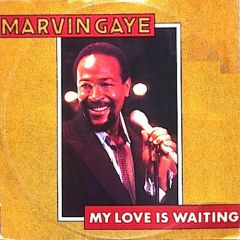 Marvin Gaye - Marvin Gaye - My Love Is Waiting - CBS